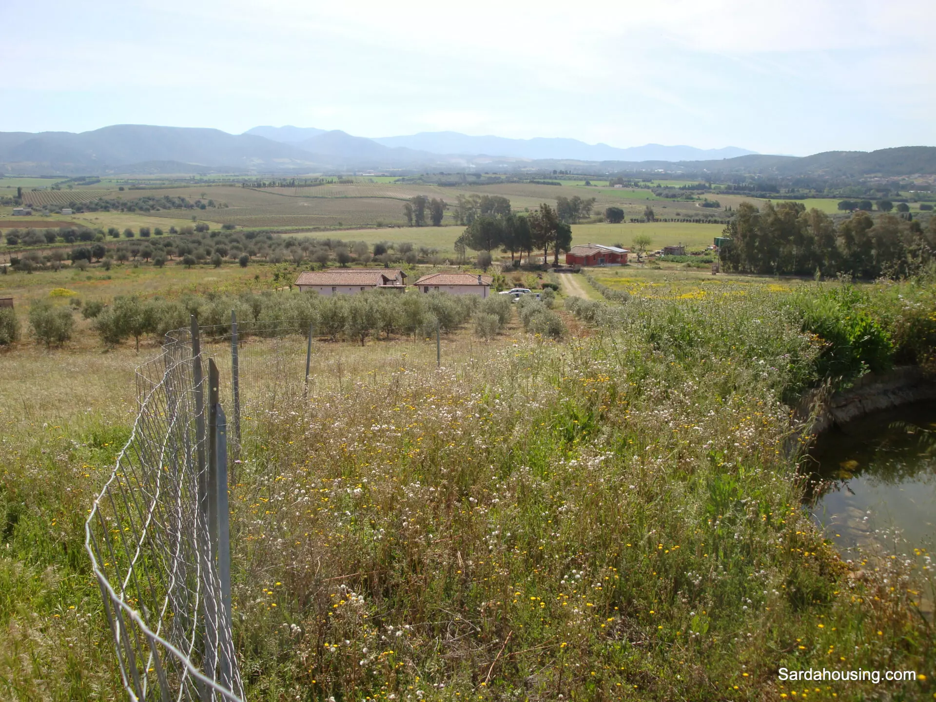 Estate Arrideli With Suitability For Eco-village Or Cohousing In Sardinia