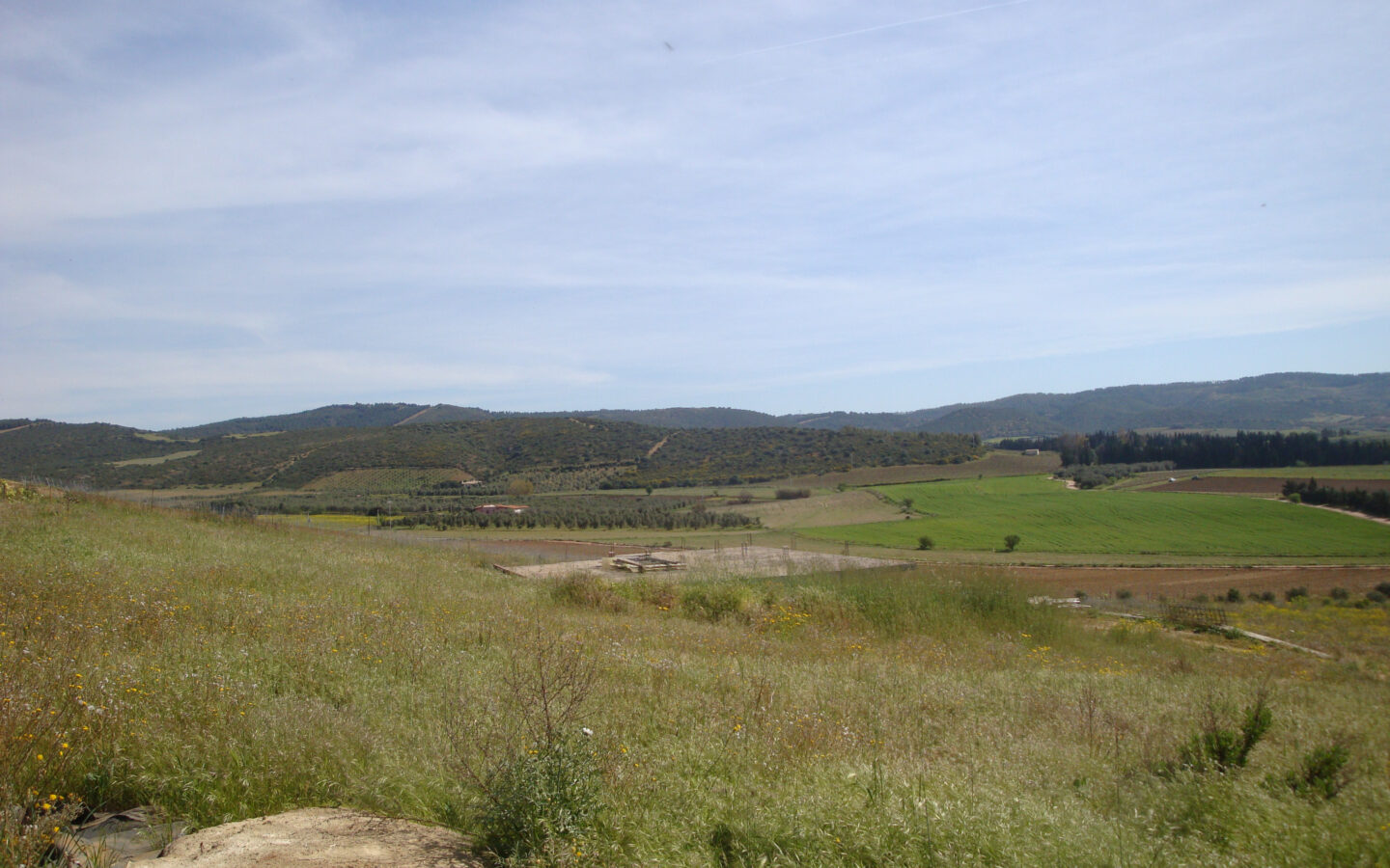Estate Arrideli With Suitability For Eco-village Or Cohousing In Sardinia