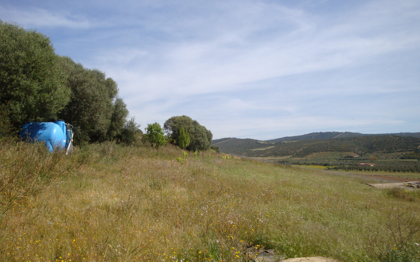 Estate Arrideli With Suitability For Eco-village Or Cohousing In Sardinia