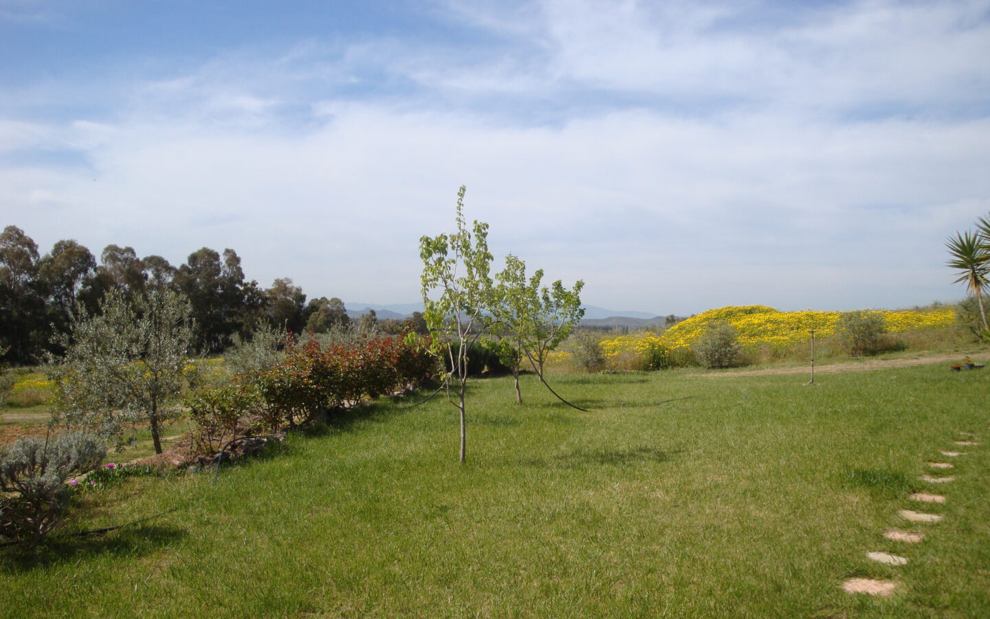 Estate Arrideli With Suitability For Eco-village Or Cohousing In Sardinia