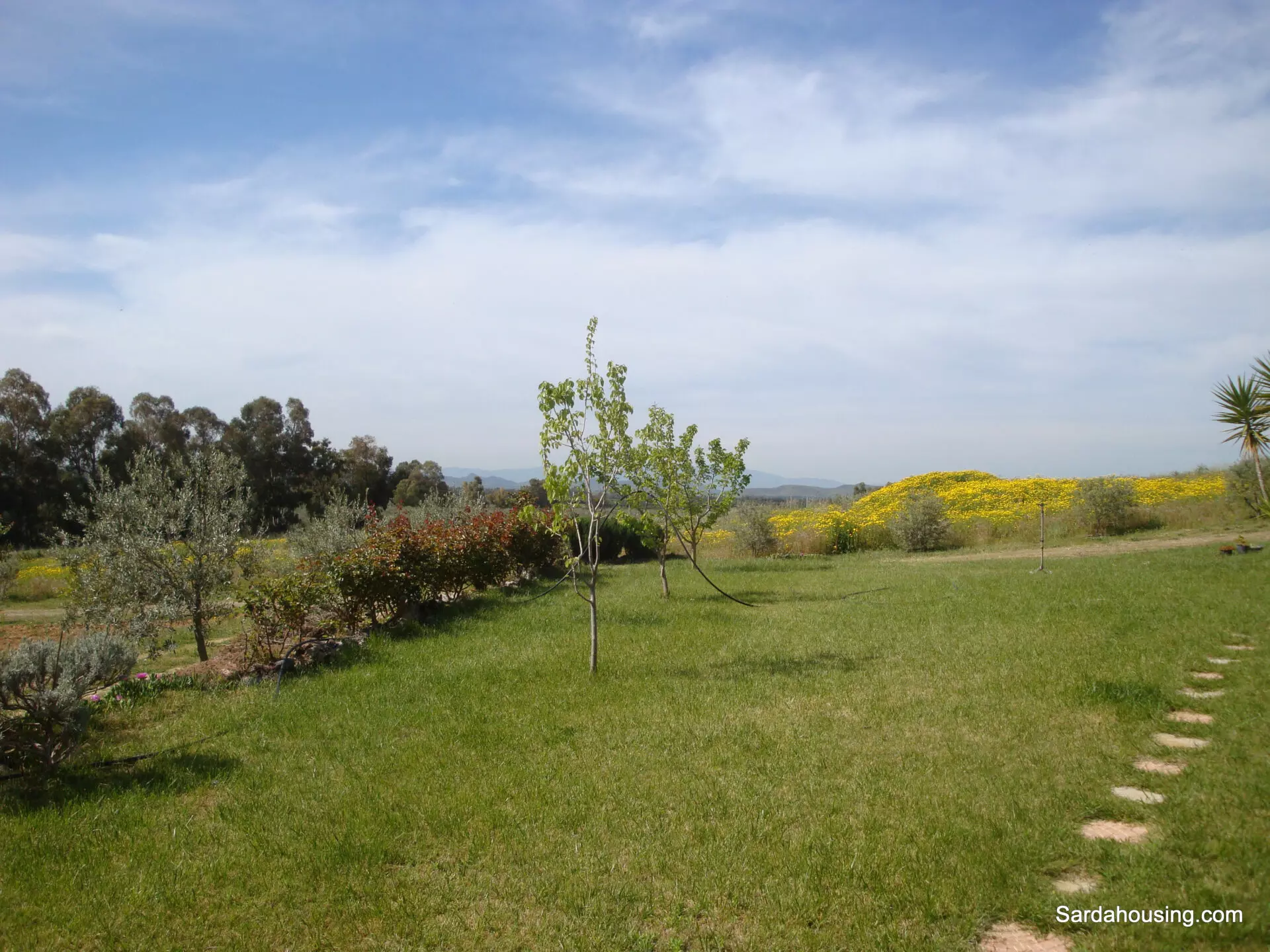 Estate Arrideli With Suitability For Eco-village Or Cohousing In Sardinia