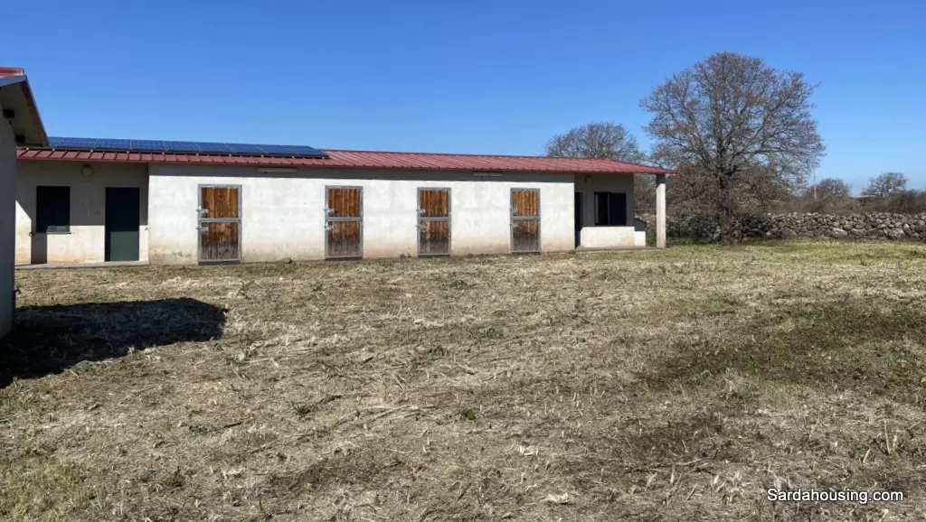 Small Farm With Stables In A Sardinian Fascinating Context