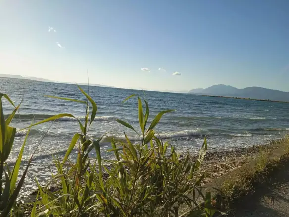 Land Of 2750 M² On Euboea Island