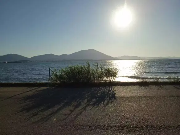 Land Of 2750 M² On Euboea Island