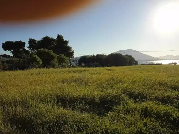 Land Of 2750 M² On Euboea Island