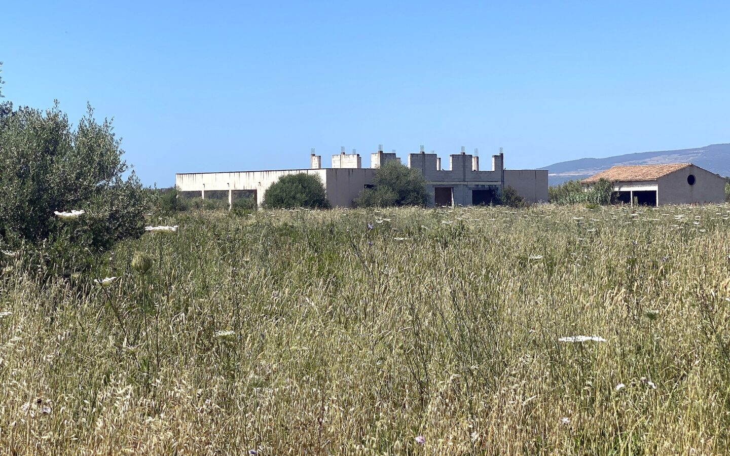 Unfinished Farmhouse With Three Hectares Land In Sardinia