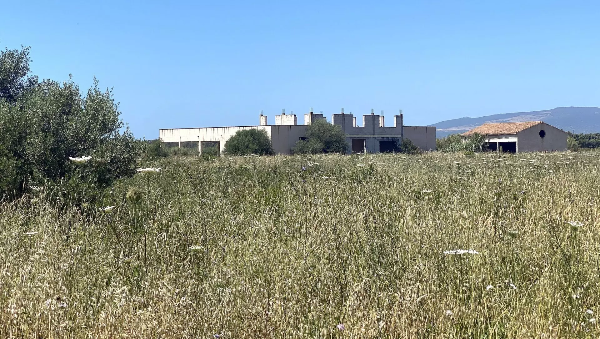 Farmhouse Of 0 M² With Three Hectares Land In Casale Màssama