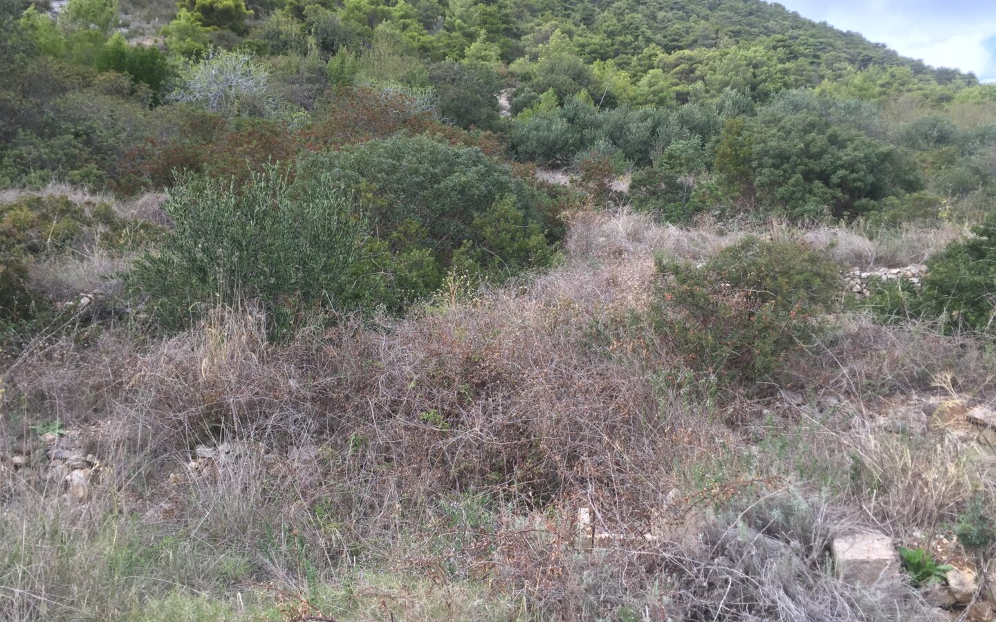 Construction Land Of 4500 M² In Komiža, Vis Island