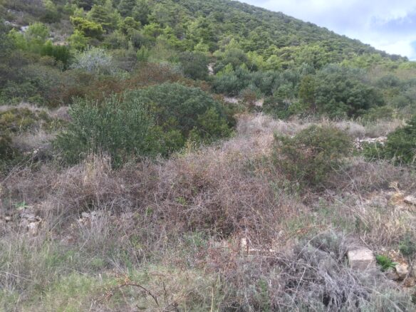 Construction Land Of 4500 M² In Komiža, Vis Island