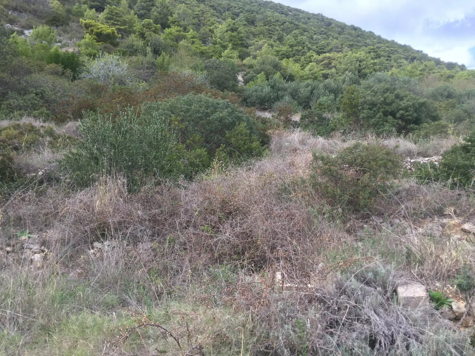 Construction Land Of 4500 M² In Komiža, Vis Island