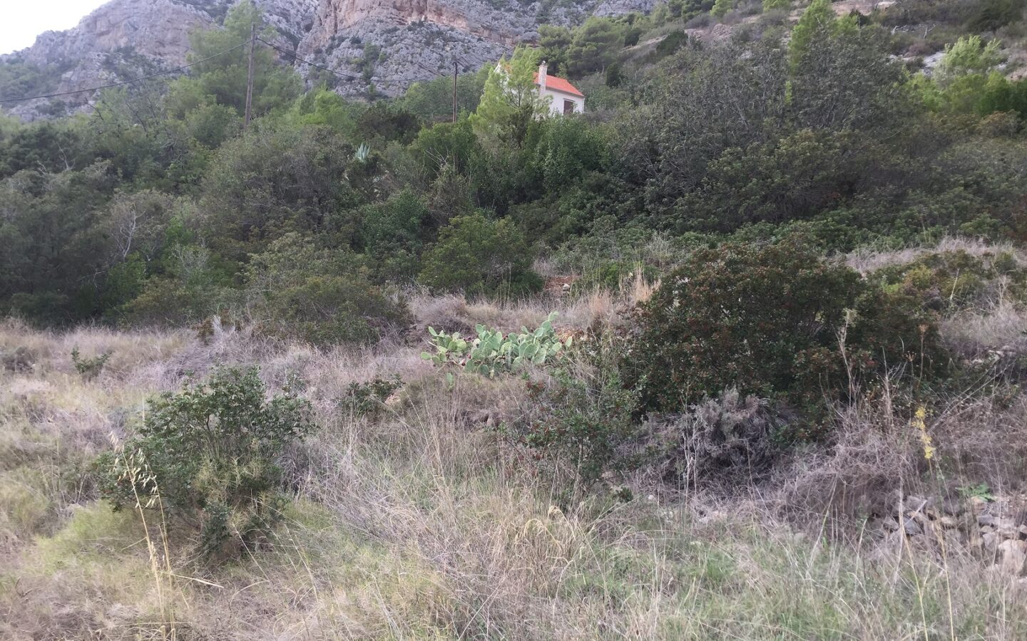 Construction Land Of 4500 M² In Komiža, Vis Island