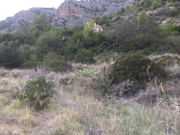 Construction Land Of 4500 M² In Komiža, Vis Island