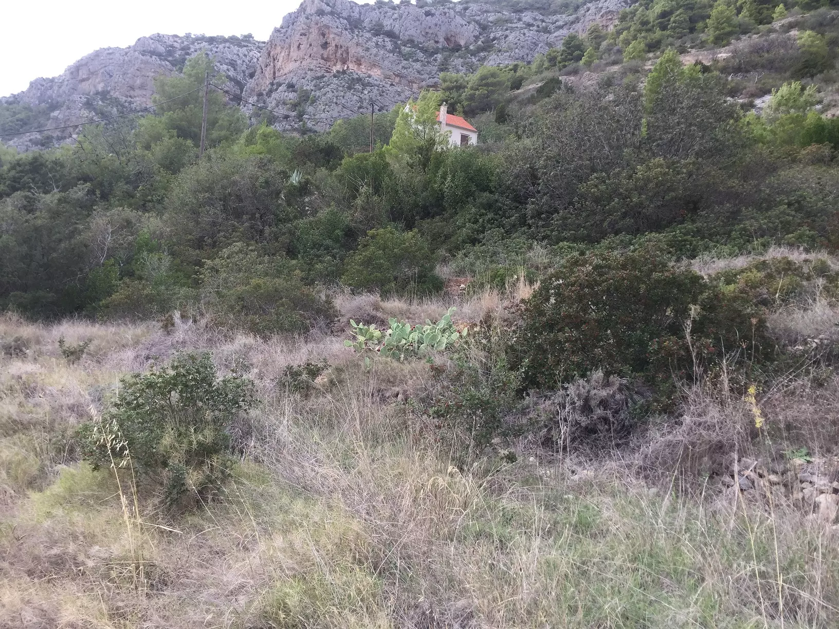 Construction Land Of 4500 M² In Komiža, Vis Island