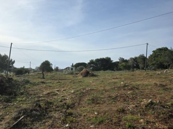 Pl162 – Seafront Plot Of Land Of 8,084 Sq.m. – Marathopoli