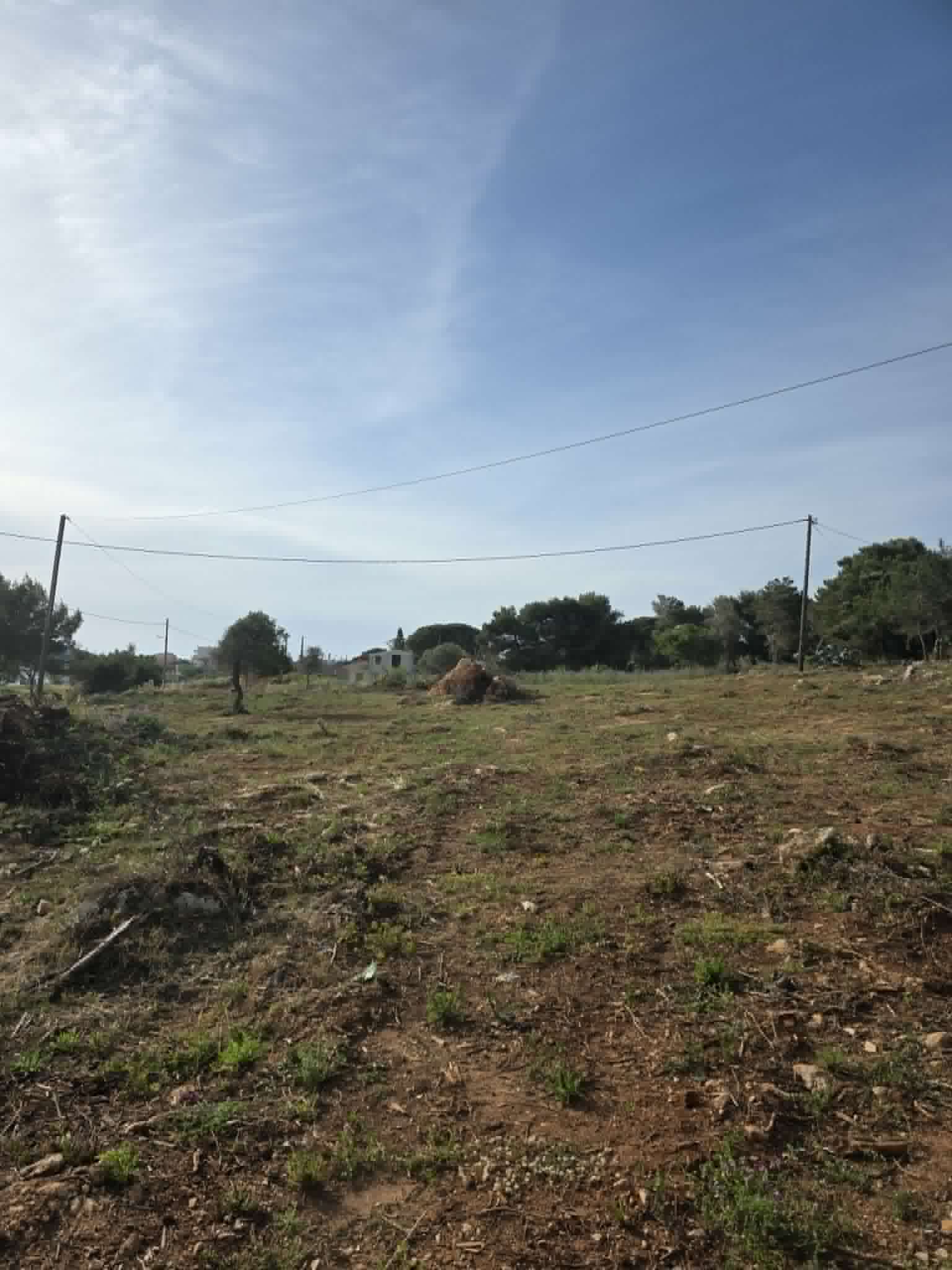 Pl162 – Seafront Plot Of Land Of 8,084 Sq.m. – Marathopoli