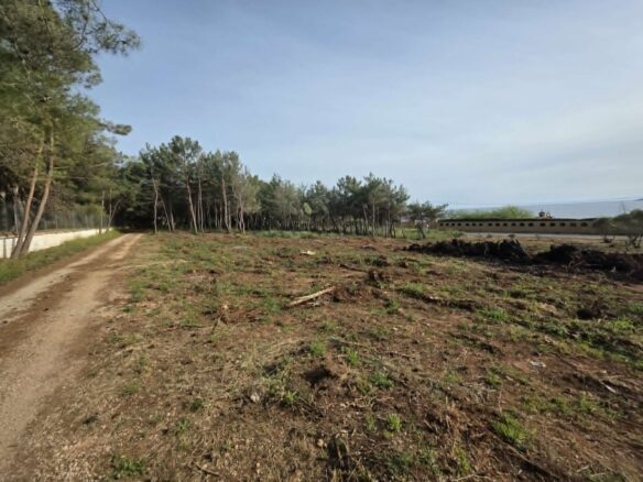 Pl162 – Seafront Plot Of Land Of 8,084 Sq.m. – Marathopoli