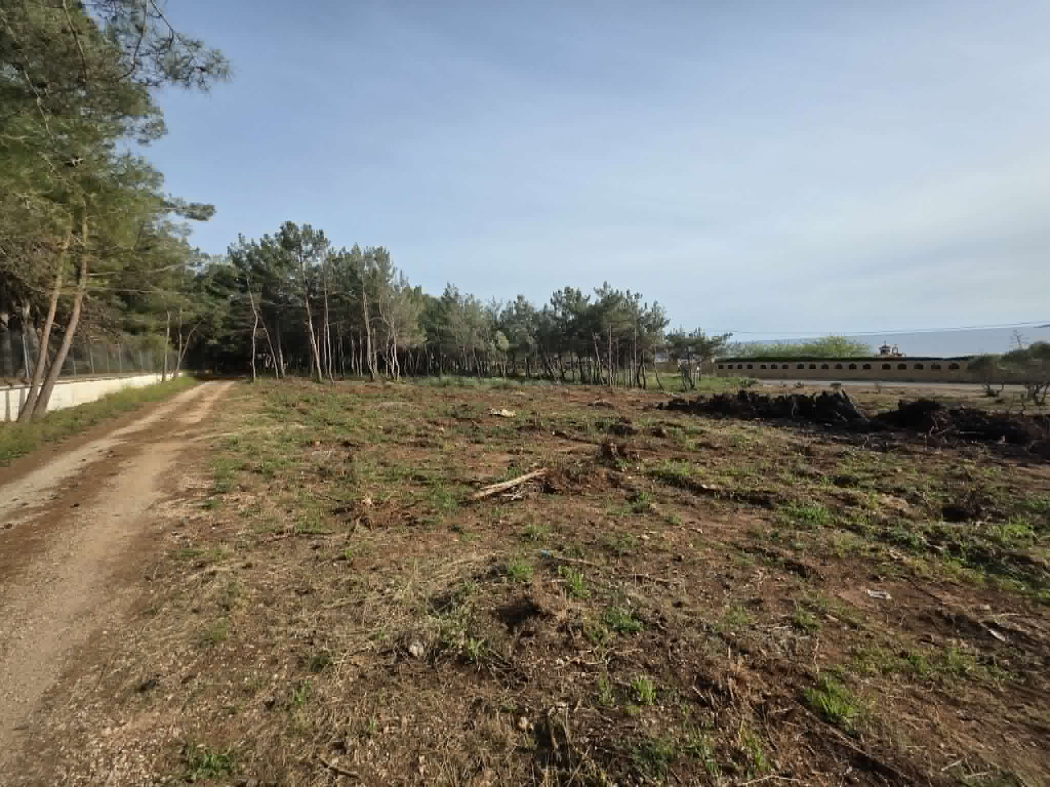 Pl162 – Seafront Plot Of Land Of 8,084 Sq.m. – Marathopoli