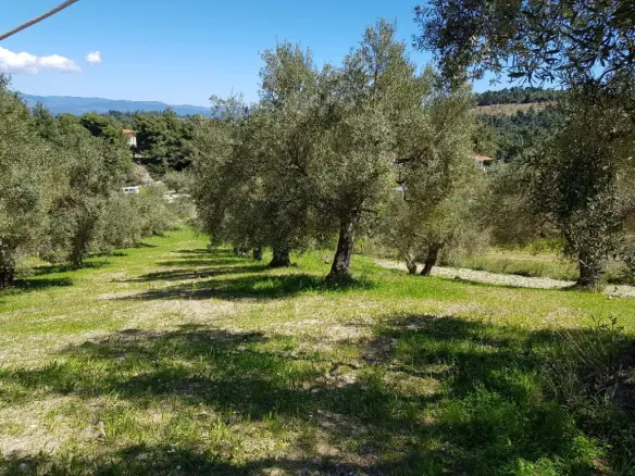 Land Of 2002 M² In Kassandra, Chalkidiki