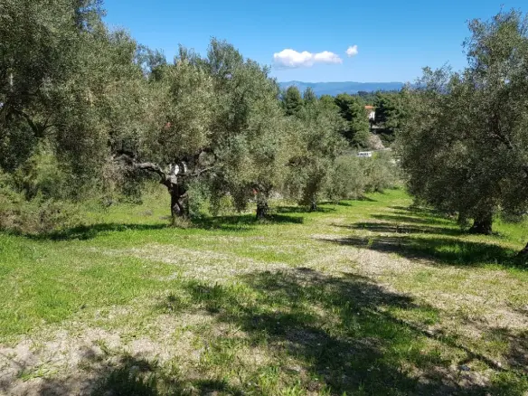 Land Of 2002 M² In Kassandra, Chalkidiki