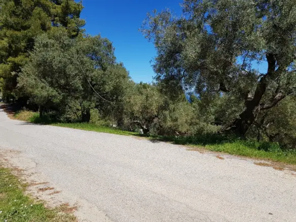 Land Of 2002 M² In Kassandra, Chalkidiki