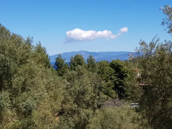 Land Of 2002 M² In Kassandra, Chalkidiki