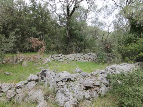 Land Of 10000 M² In Corfu