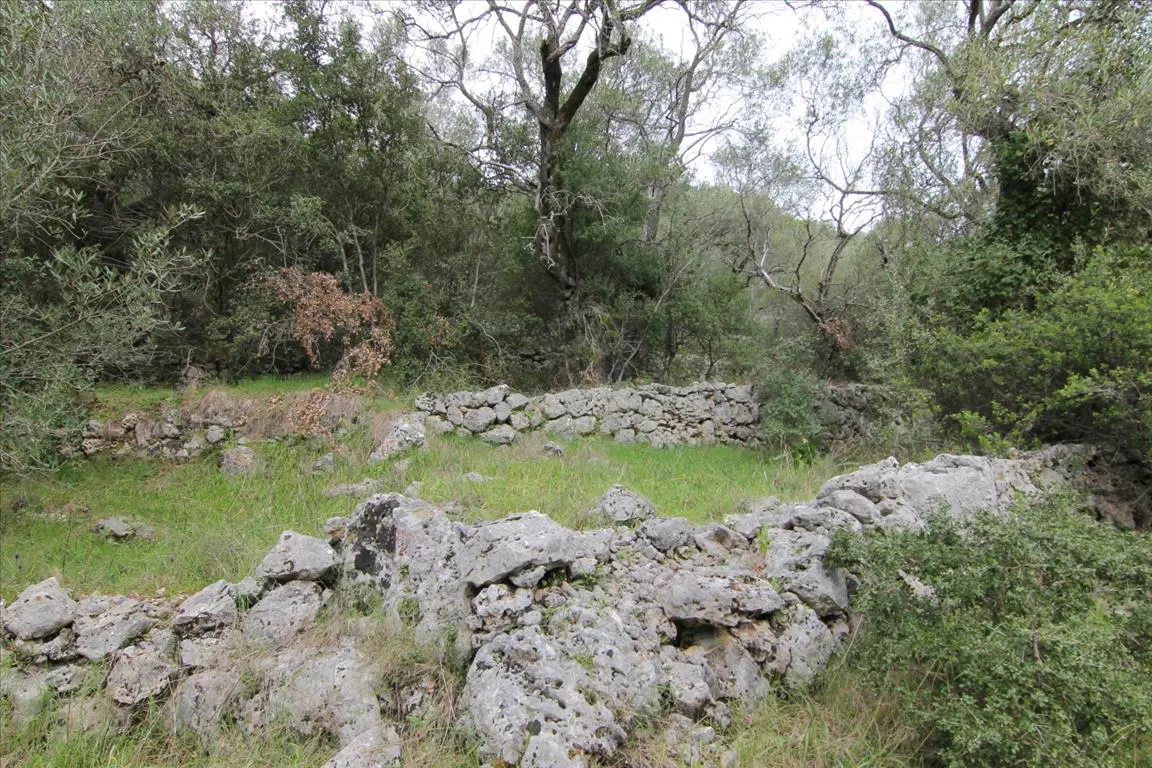 Land Of 10000 M² In Corfu