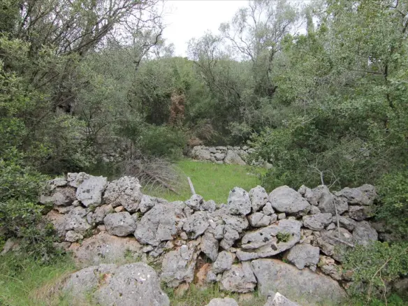 Land Of 10000 M² In Corfu
