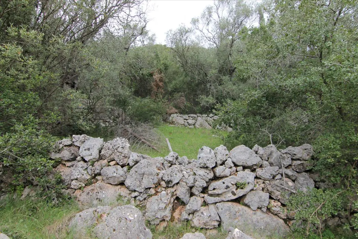 Land Of 10000 M² In Corfu