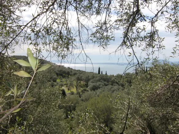Land Of 9000 M² In Corfu