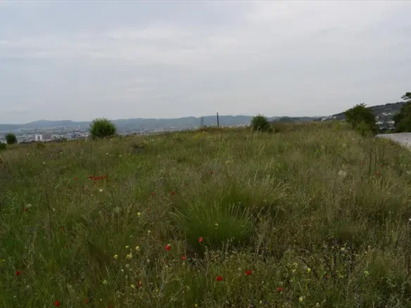 Land Of 4960 M² In Thessaloniki