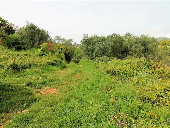 Land Of 2700 M² In Corfu