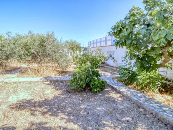 Urban Plot Of 357 M² In Rojales, Spain