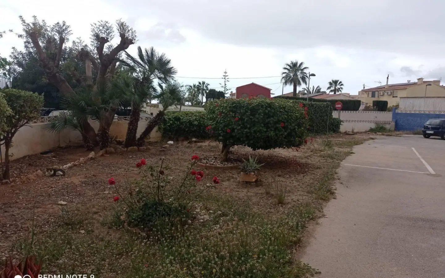 Office In Alfaz Del Pi, Spain (460 M²)