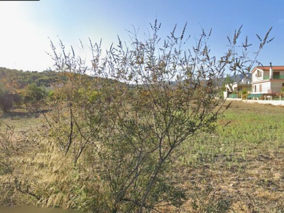 Buildable Plot Of 500 M² Near Beach In Kato Almyri, Corinthia