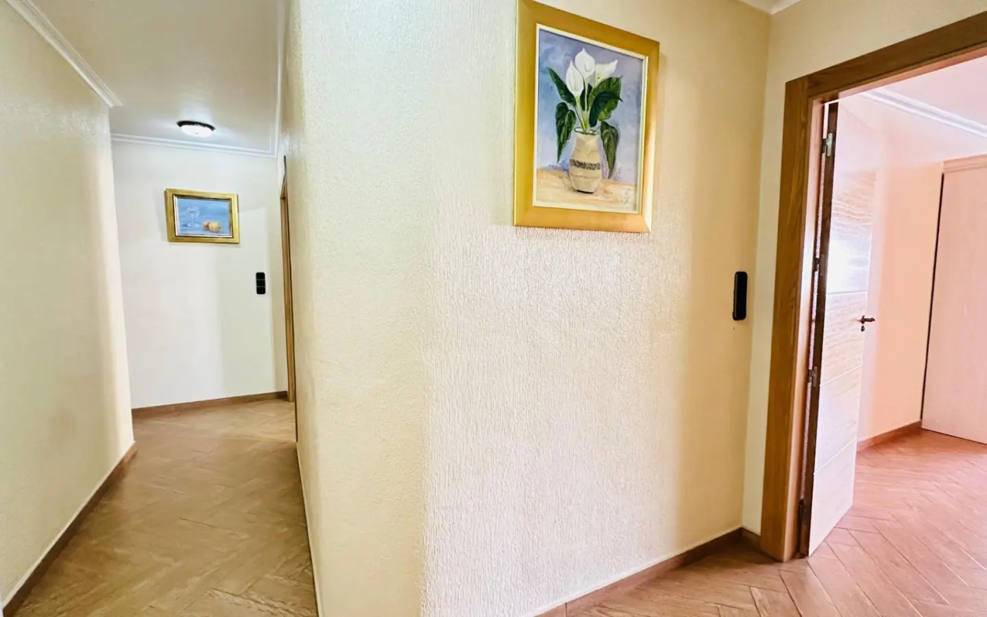 Apartment 145 In Torrevieja, Spain – Mediter Real Estate