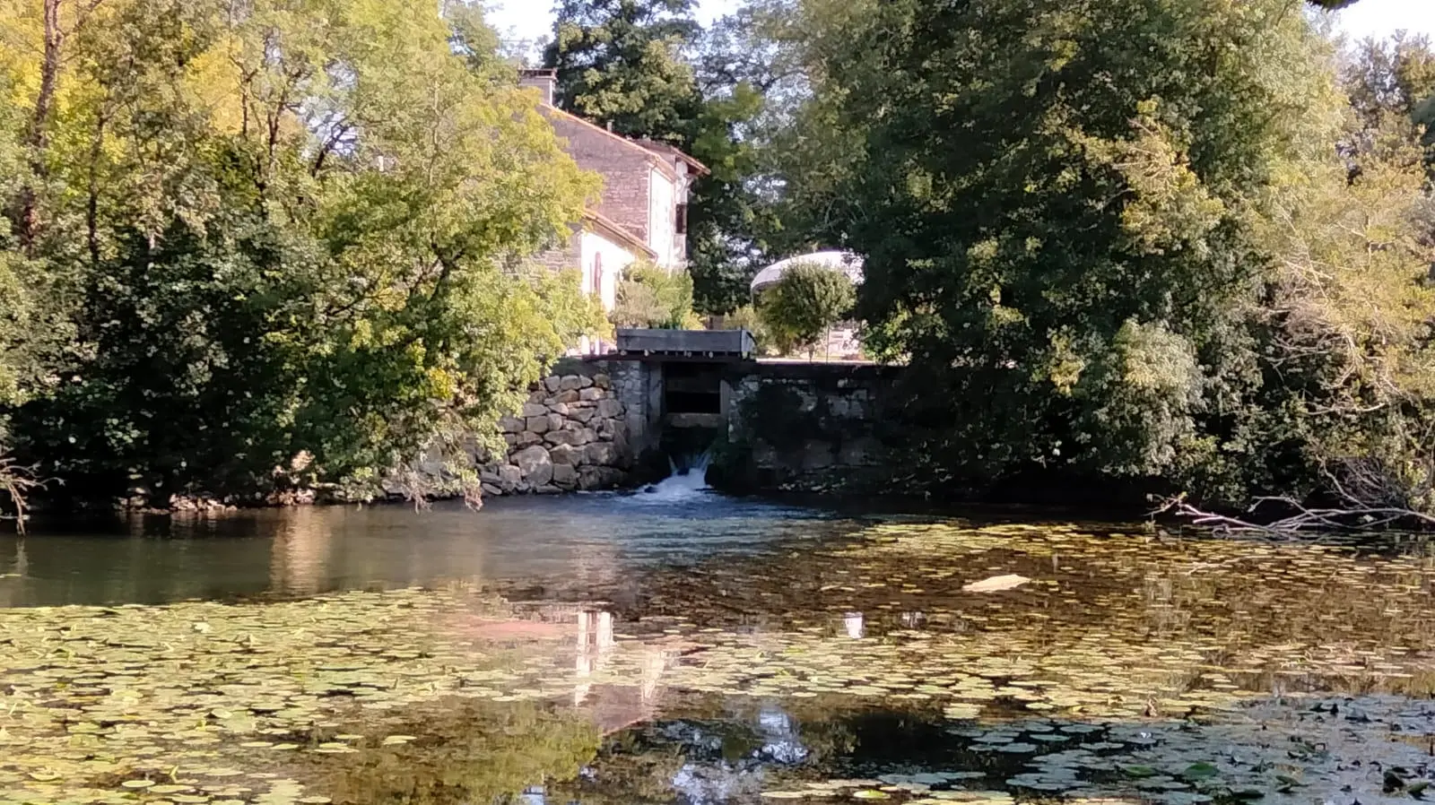 Old Stone Mill Of [size] With Private Island And River Views In Charente