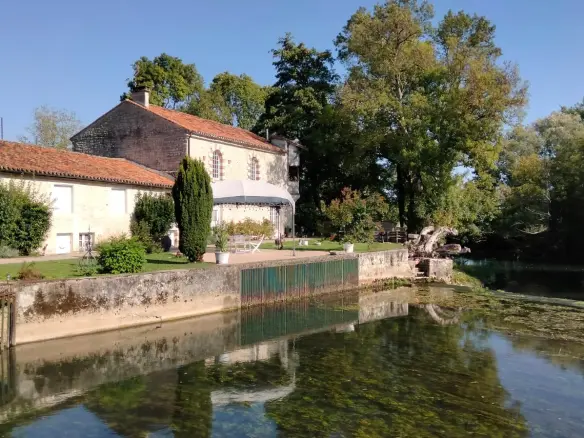 Old Stone Mill Of [size] With Private Island And River Views In Charente