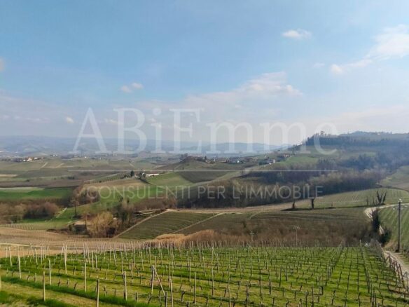 Villa For Sale In Verduno (langhe)