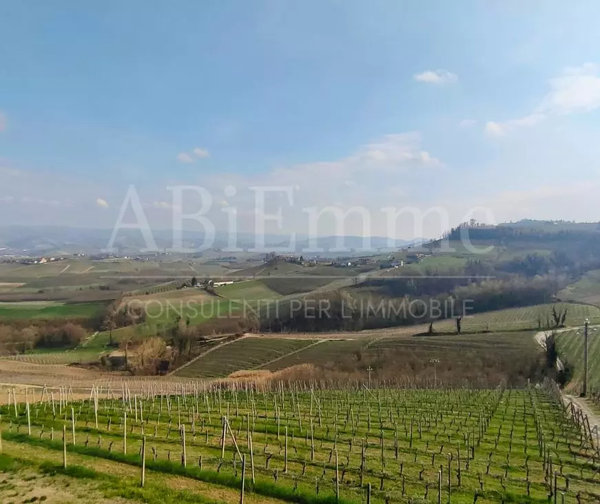 01 Villa For Sale In Verduno (langhe)