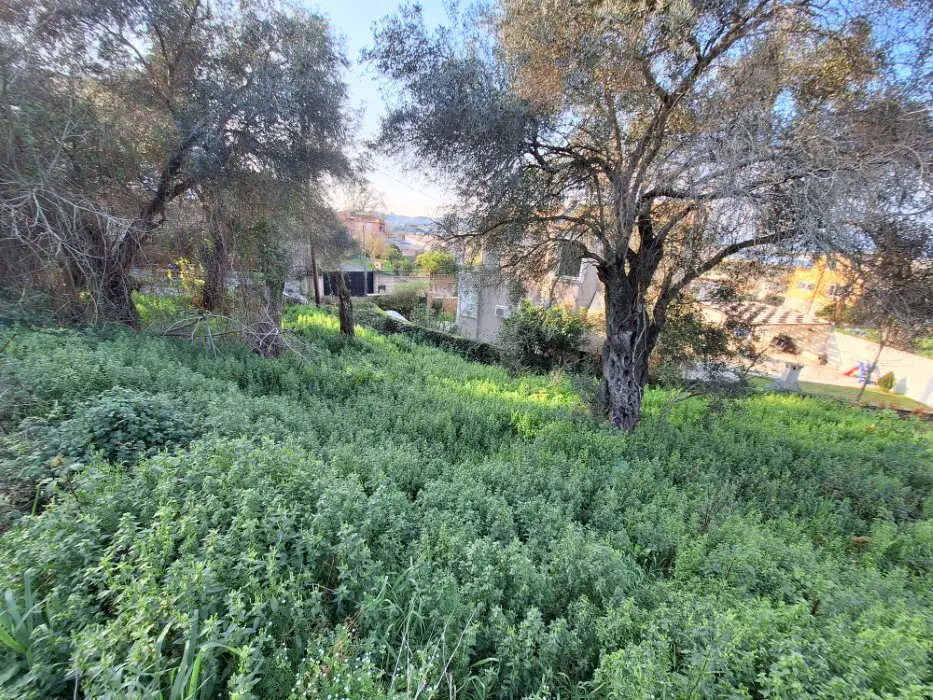 Land In Corfu, Greece