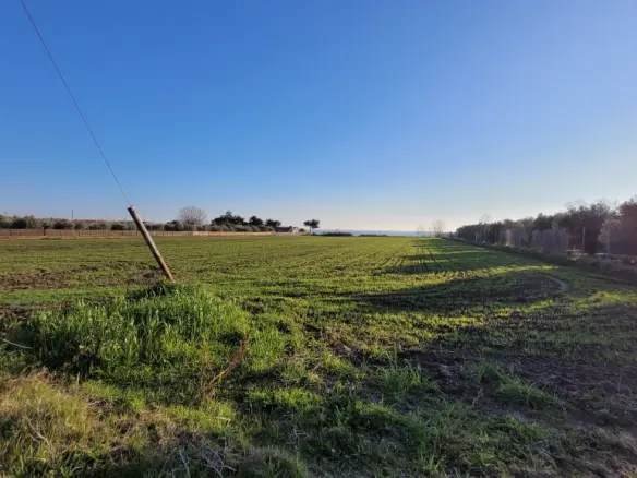 Land In Epanomi, Greece