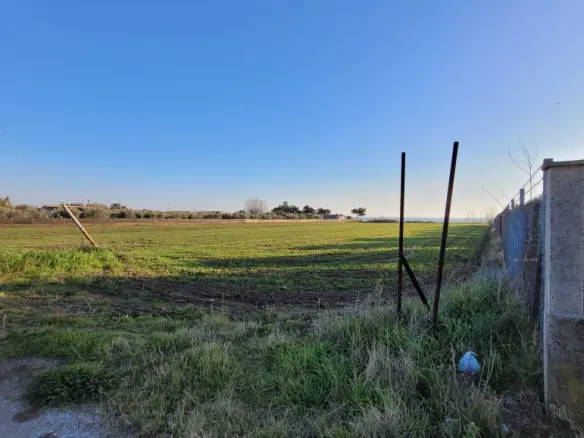 Land In Epanomi, Greece