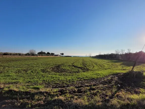 Land In Epanomi, Greece