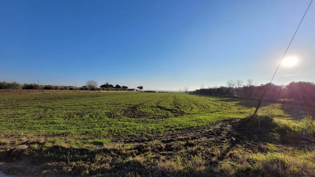 Land Of 9375 M² In The Suburbs Of Thessaloniki