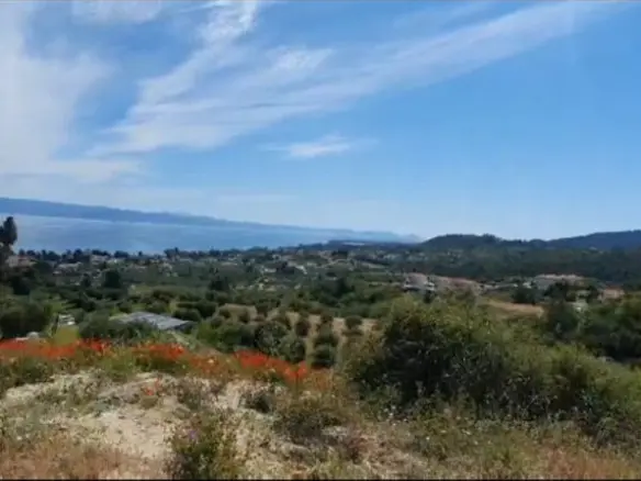Land In Kassandra, Greece