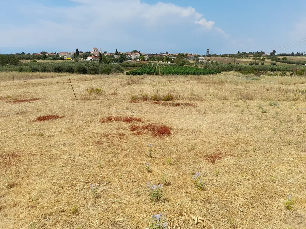 Land Of 468 M² In Chalkidiki