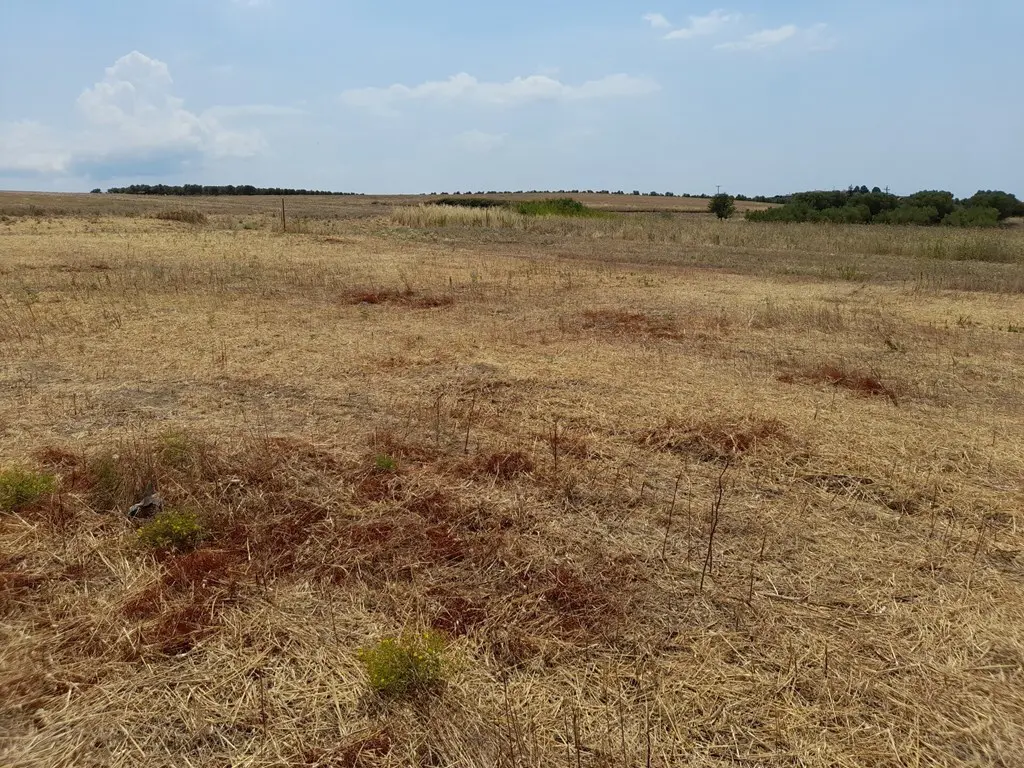 Land Of 468 M² In Chalkidiki