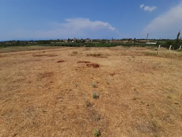 Land Of 468 M² In Chalkidiki