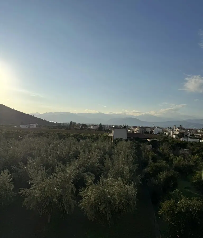 3-bedroom Detached House In Nea Tirintha, Greece (198 M²)
